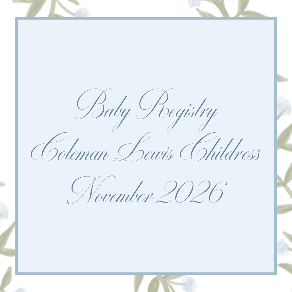 Coleman Lewis Childress Baby Registry