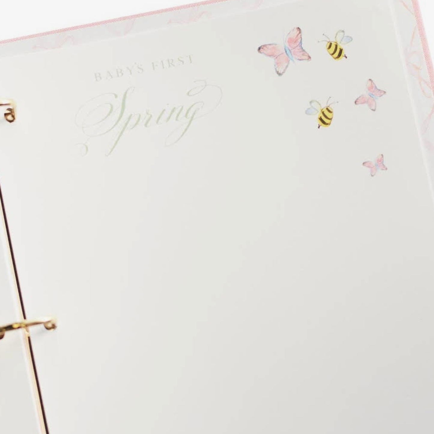 Baby's First Memory Book
